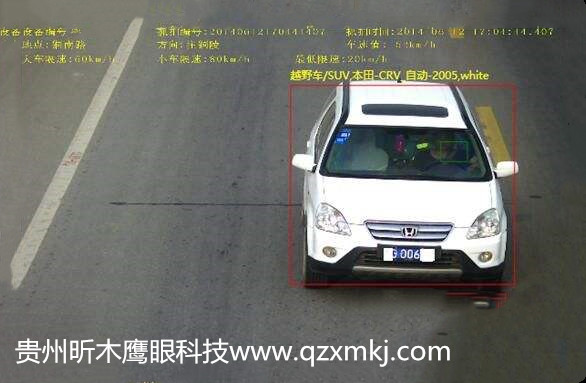 timg (1)_副本.jpg